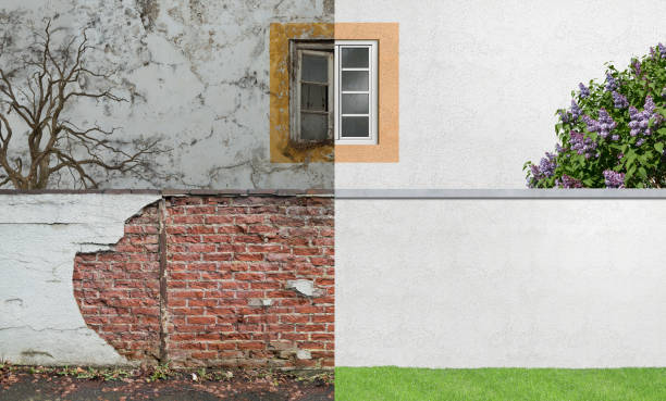 Best Industrial Mold Remediation  in The Villages, FL